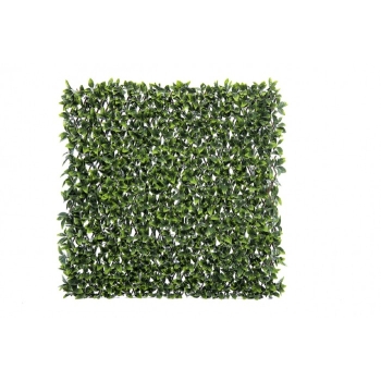 ACOPERIREA BALCONULUI LAUR SALCIE SALCIE